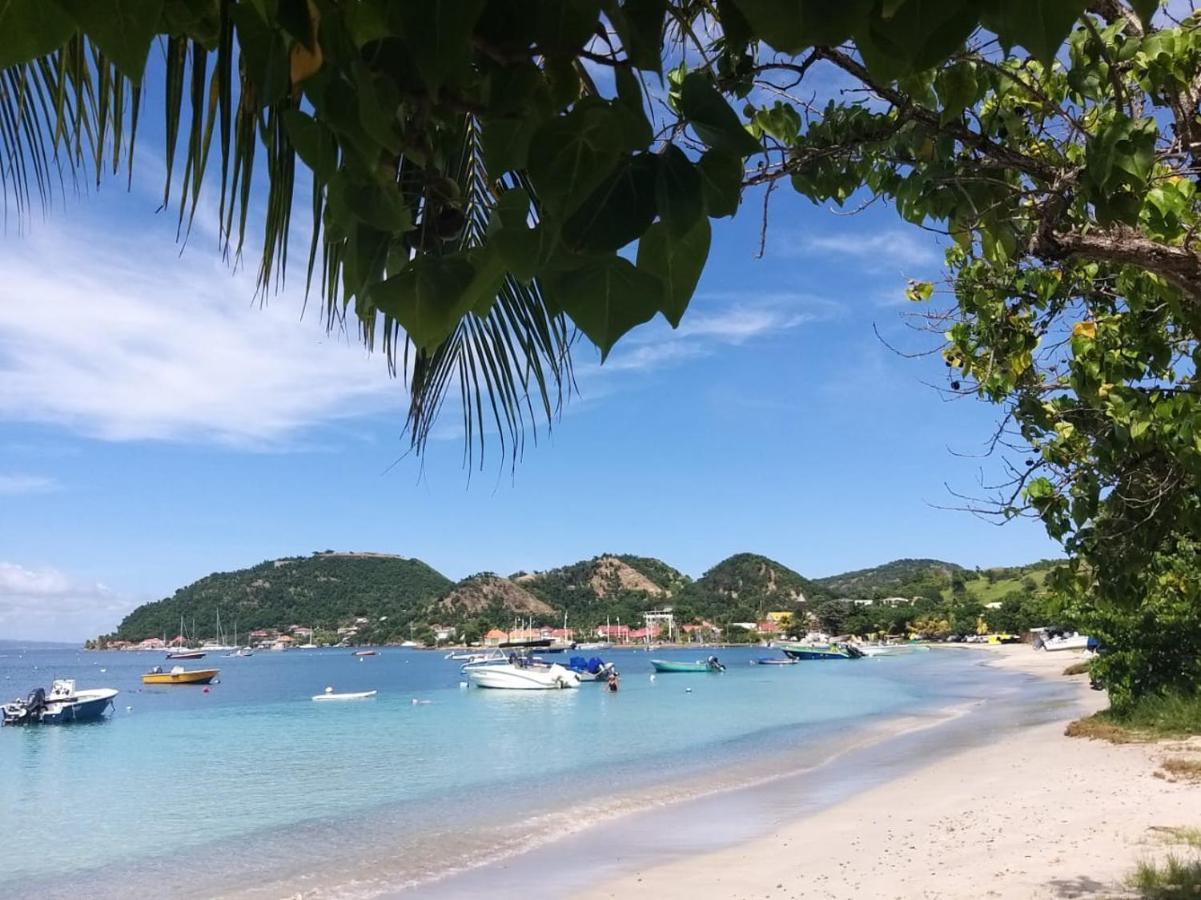 Studio 1 - Grande Anse - 4 Pers - Proche Bourg Terre-De-Haut Eksteriør billede