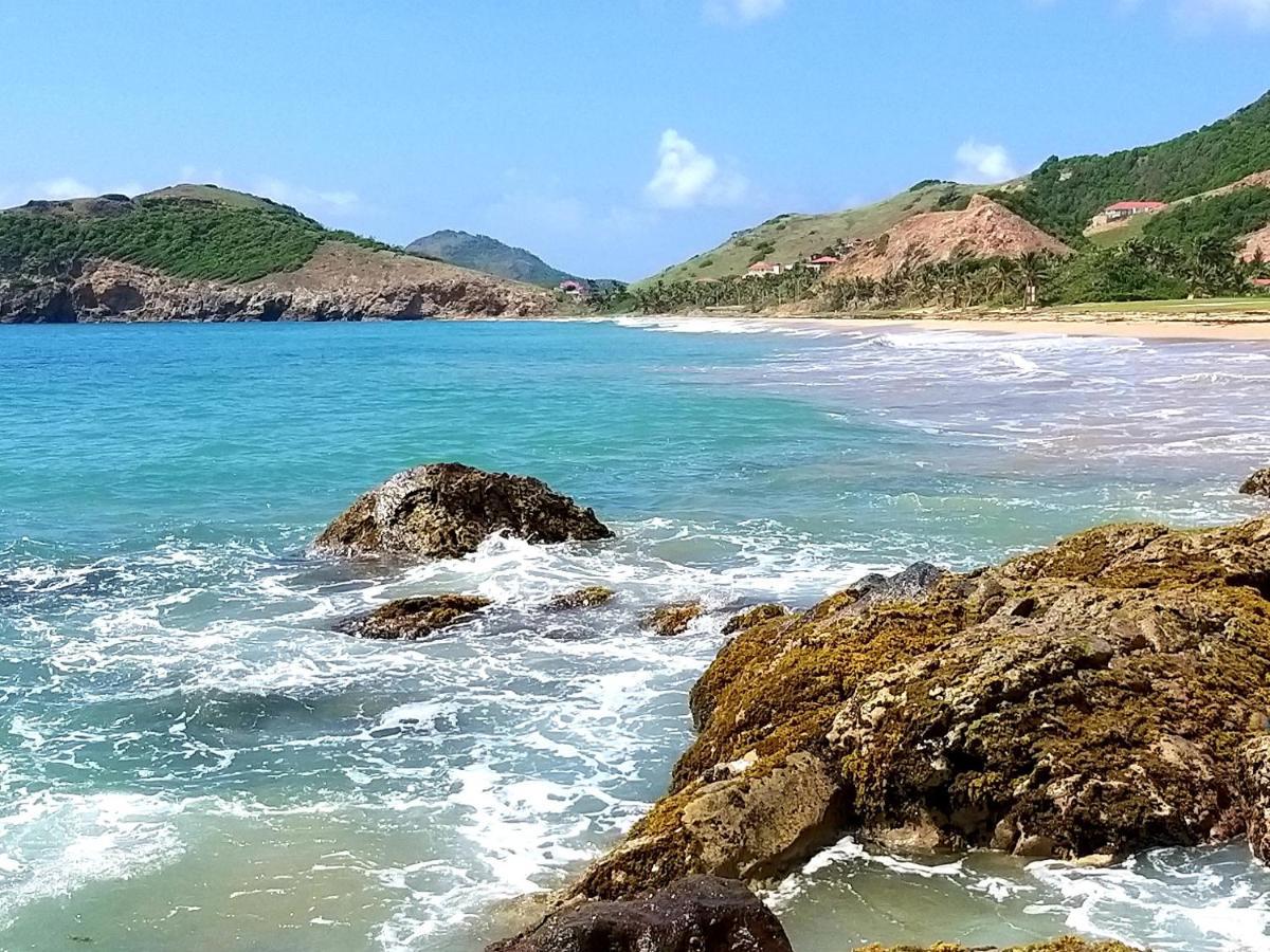 Studio 1 - Grande Anse - 4 Pers - Proche Bourg Terre-De-Haut Eksteriør billede
