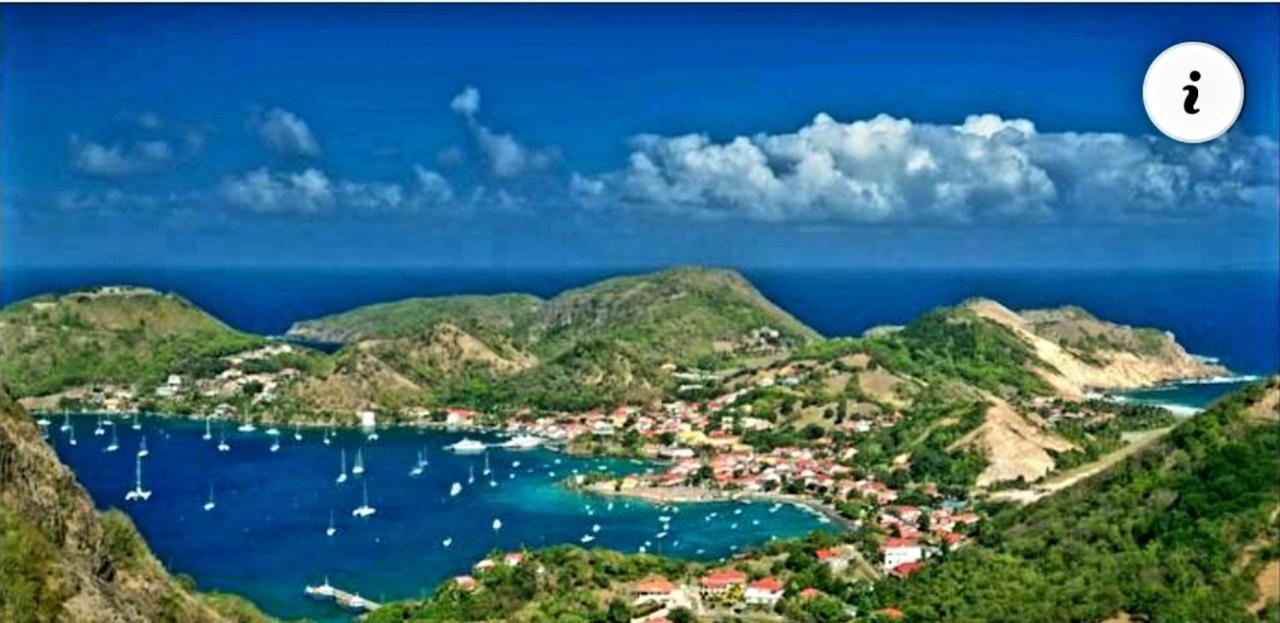 Studio 1 - Grande Anse - 4 Pers - Proche Bourg Terre-De-Haut Eksteriør billede